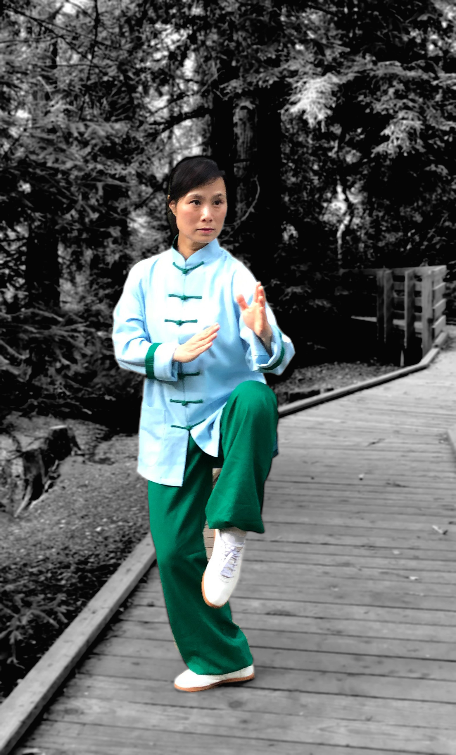 Donna Tse, Certified Taichi Instrutor